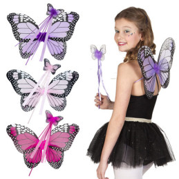 Set Papillon 3 couleurs ass...