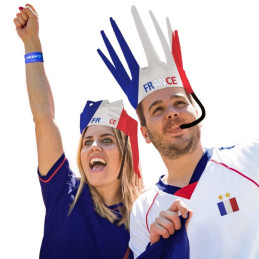 Couronne sifflante France BBR 