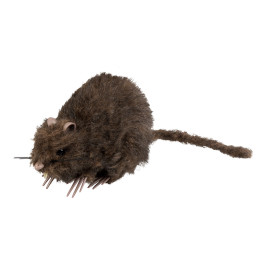Décoration Rat (15 x 8 cm) 