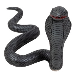 Cobra en latex (31 x 65 cm) 