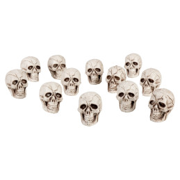 Sachet 12 Crânes 