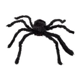 Araignée velue noir 50X65cm 