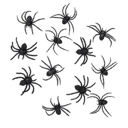 Sachet de 12 araignées en...