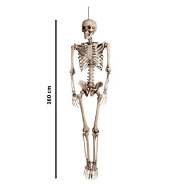 OSCAR Squelette 160 cm...