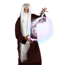 Perruque Wizard magicien...
