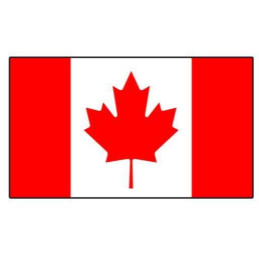 Sachet 100 drapeaux 9.5 x 16cm nation Canada  en papier