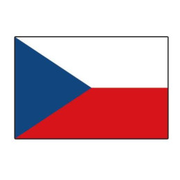 Sachet 100 drapeaux 9.5 x 16cm nation Rép. Tchèque en papier