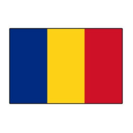 Sachet 100 drapeaux 9,5 x...
