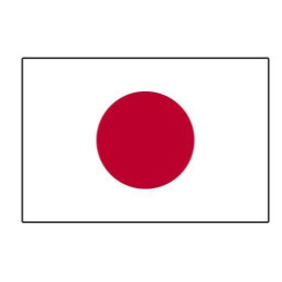 Sachet   10 drapeaux 9,5 x 16cm nation  Japon en papier