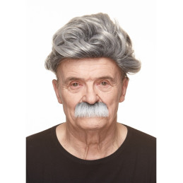 Moustache Brosse - Grise...