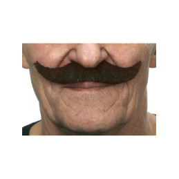 Moustache à la Française -...
