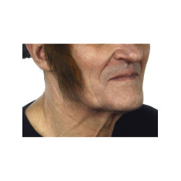 Favoris courts - Roux (028) 