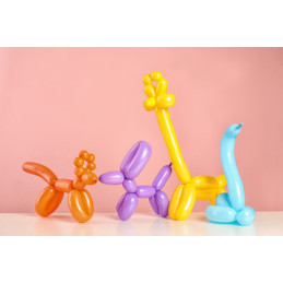 100 ballons à modeler...