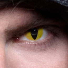 Lentilles 3 mois Creep 