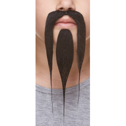 Moustache Chinois longue...