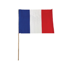 Drapeau 45x30 cm Hampe bois...