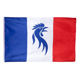 Drapeau polyester Allez les...