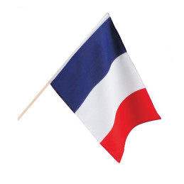 Grossiste Drapeau 45x30 cm Hampe bois France polyester 75D, Réservé aux  professionnels