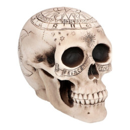 Tête de mort Astronomy (14...