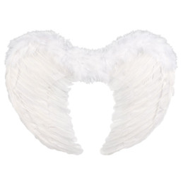 Aile d'ange plumes blanches...