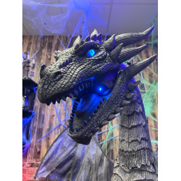 Dragon Devorys animé...