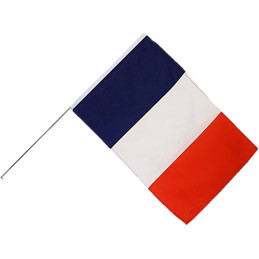 100 DRAPEAUX FRANCE 10x16cm - papier indéchirable