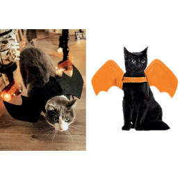 Aile de Chauve-souris pour...