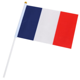 Drapeau FRANCE 21 x 14 cm...