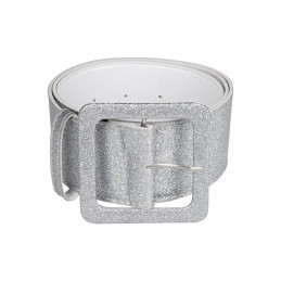 Ceinture argent (120 x 5,5...