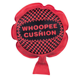 Coussin peteur 12 cm 