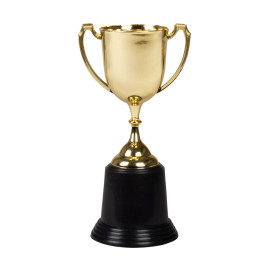 Trophée coupe OR 22 cm 
