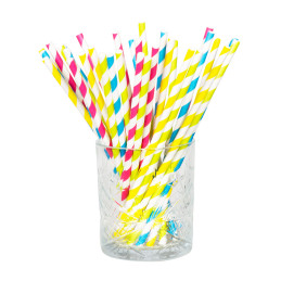 20 Pailles rayées 20 cm en...