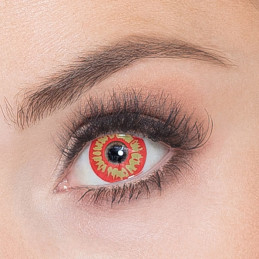 Lentilles 3 mois Orc 