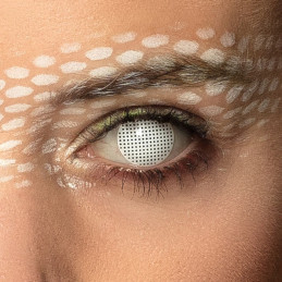 Lentilles 12 mois Mystique 
