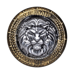 Bouclier chevalier (44,5...