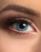 Lentilles