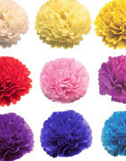 Fleurs